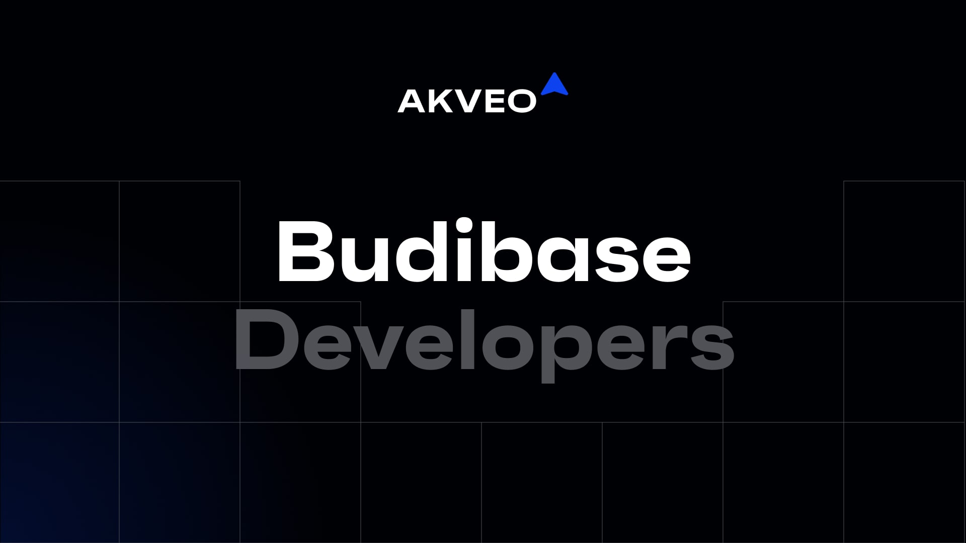 Hire Budibase Developers