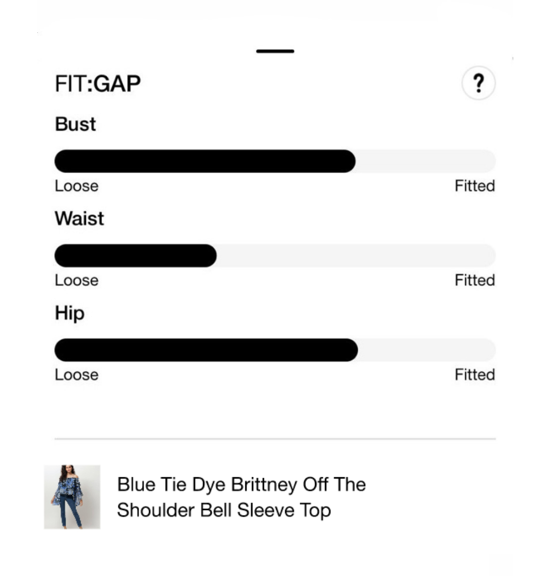 fit gap