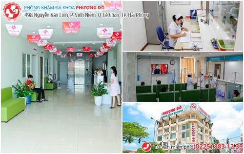 chứa sùi mào gà ở hải phòng