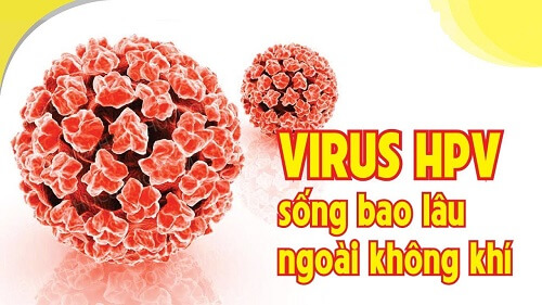 nhiễm virut hpv