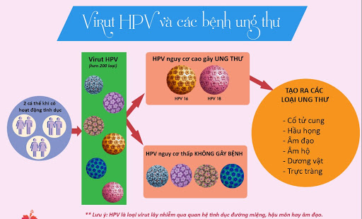 nhiễm virut hpv