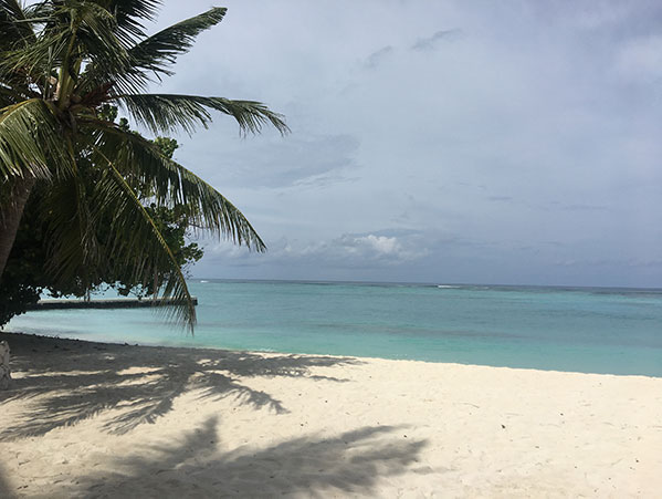 Image of project Maldives