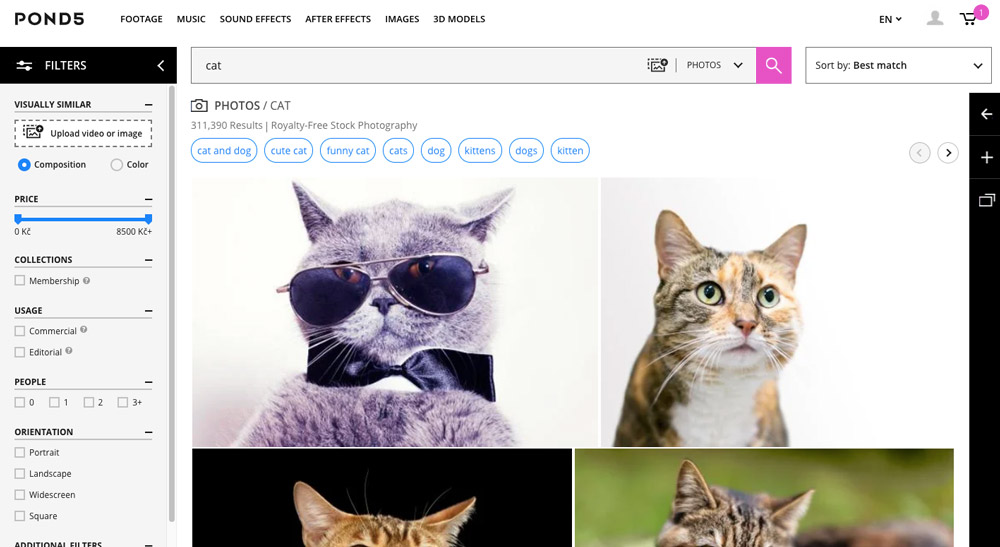 Stránka fotobanky Pond5, na které je ve vyhledávání zadán výraz "cat". Na stránce se ukazují fotky koček.