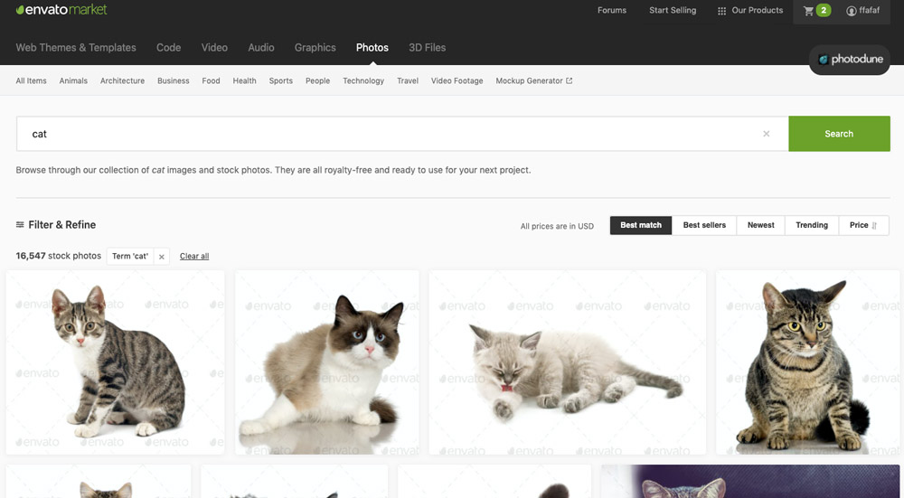 Stránka služby Envato Market, na které je ve vyhledávání zadán výraz "cat". Na stránce se ukazují fotky koček.