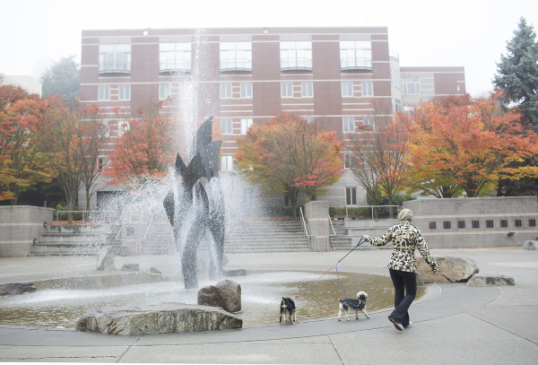 Seattle University fountain with dogs