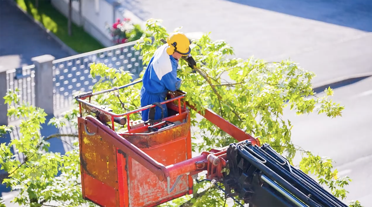 Be Aware of These Home Safety Hazards 09/12/2020