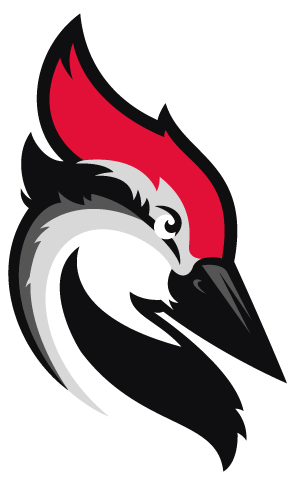 WoodPecker