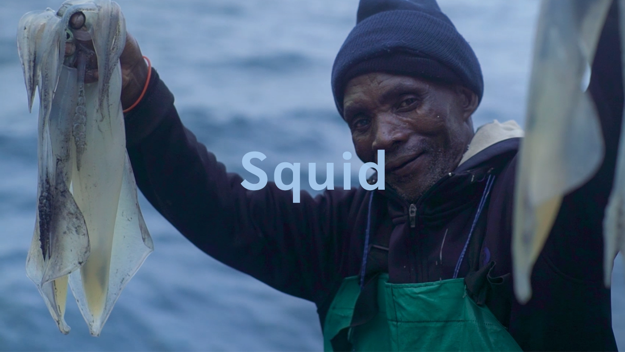Marine Stewardship Council (MSC) | SQUID