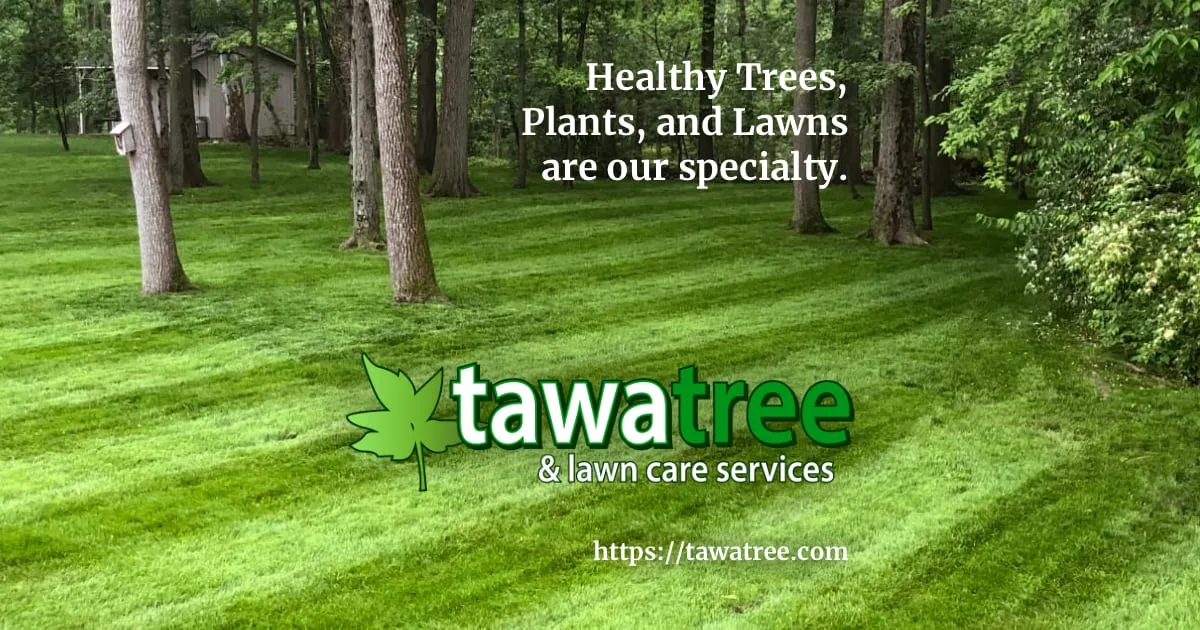 HOME Tawa Tree and Lawn Care, Ottawa, OH