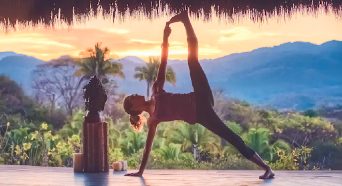Health and Wellness