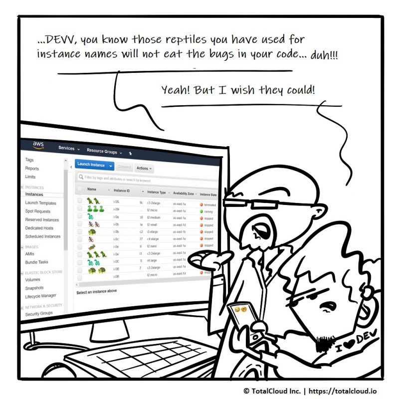 Emojis In Aws Instance Names