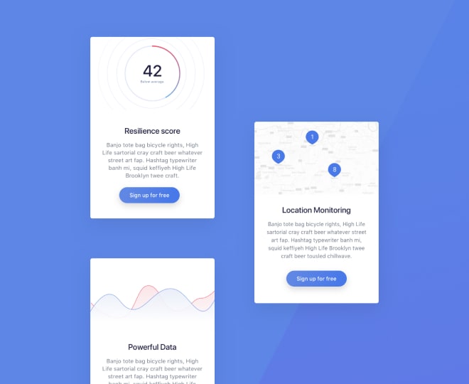 Screens of the web app we designed.