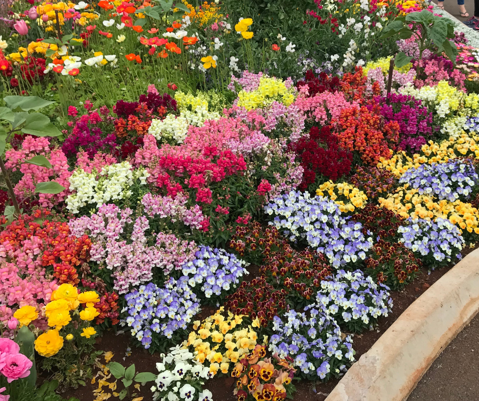 How to Build a New Flower Bed in 6 Easy Steps