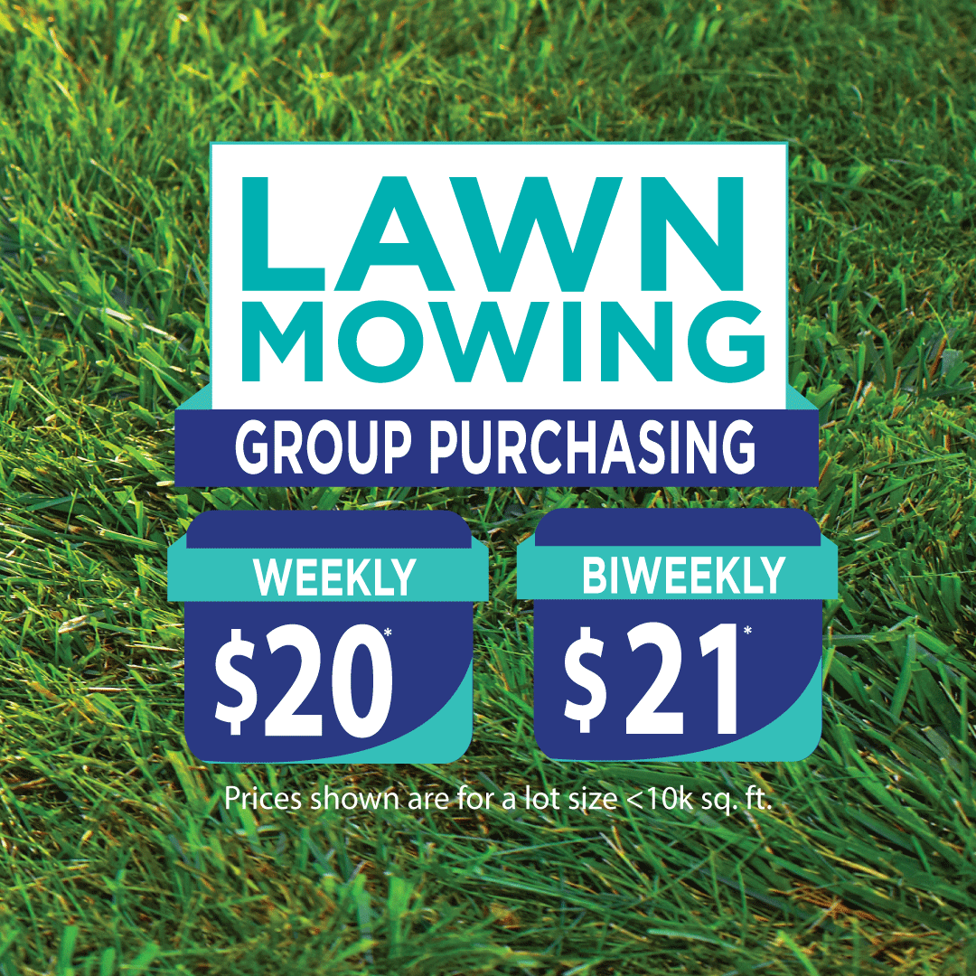 How OneNeighbor Works- Lawn Mowing & Pool Cleaning Service in Frisco, Little Elm, Lewisville, Carrollton, Richardson, and Mckinney
