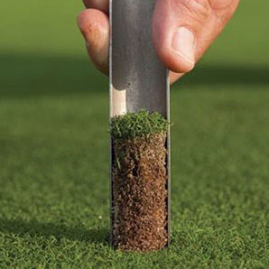 Healthy lawn analysis