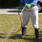 Pre Emergent herbicide prevents weeds from germinating.