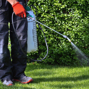 OneNeighbor Targeted Weed Control Post Emergent Kills Existing Weeds