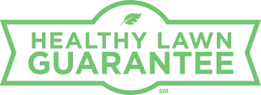 Healthy lawn guarantee