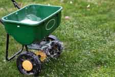 Fertilization promotes the growth of a healthy, lush lawn.