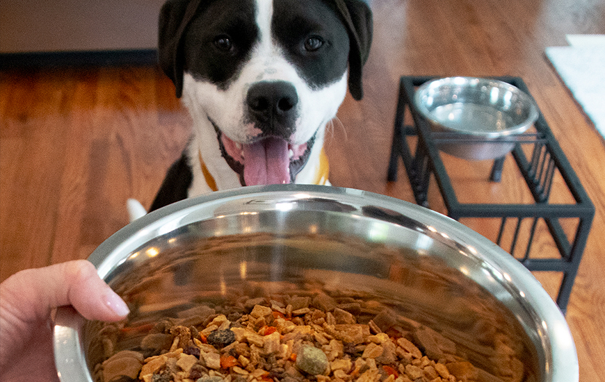 Nutrient-packed Wisdom™ dog food