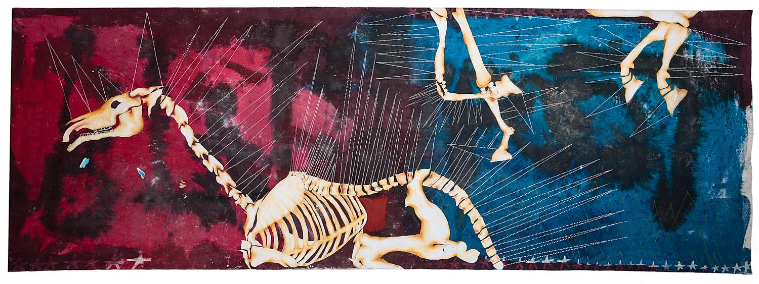 Horse Skeleton