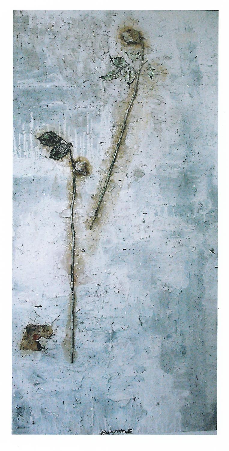 Roses White