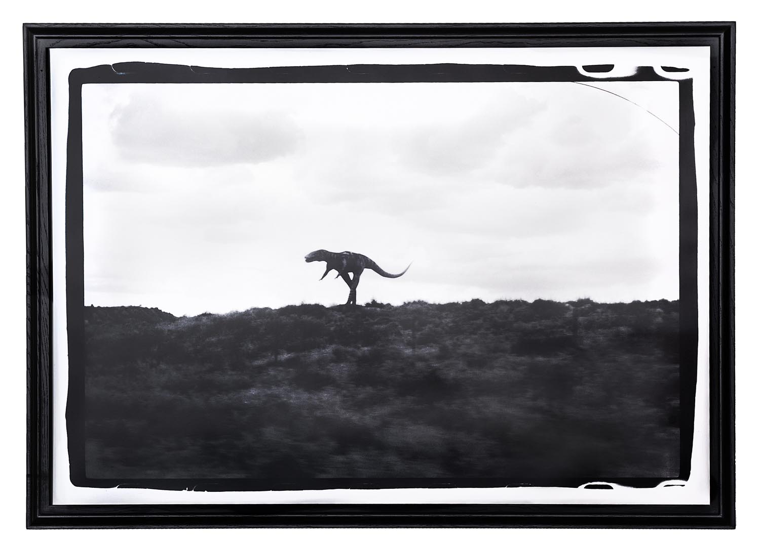 Dinosaur