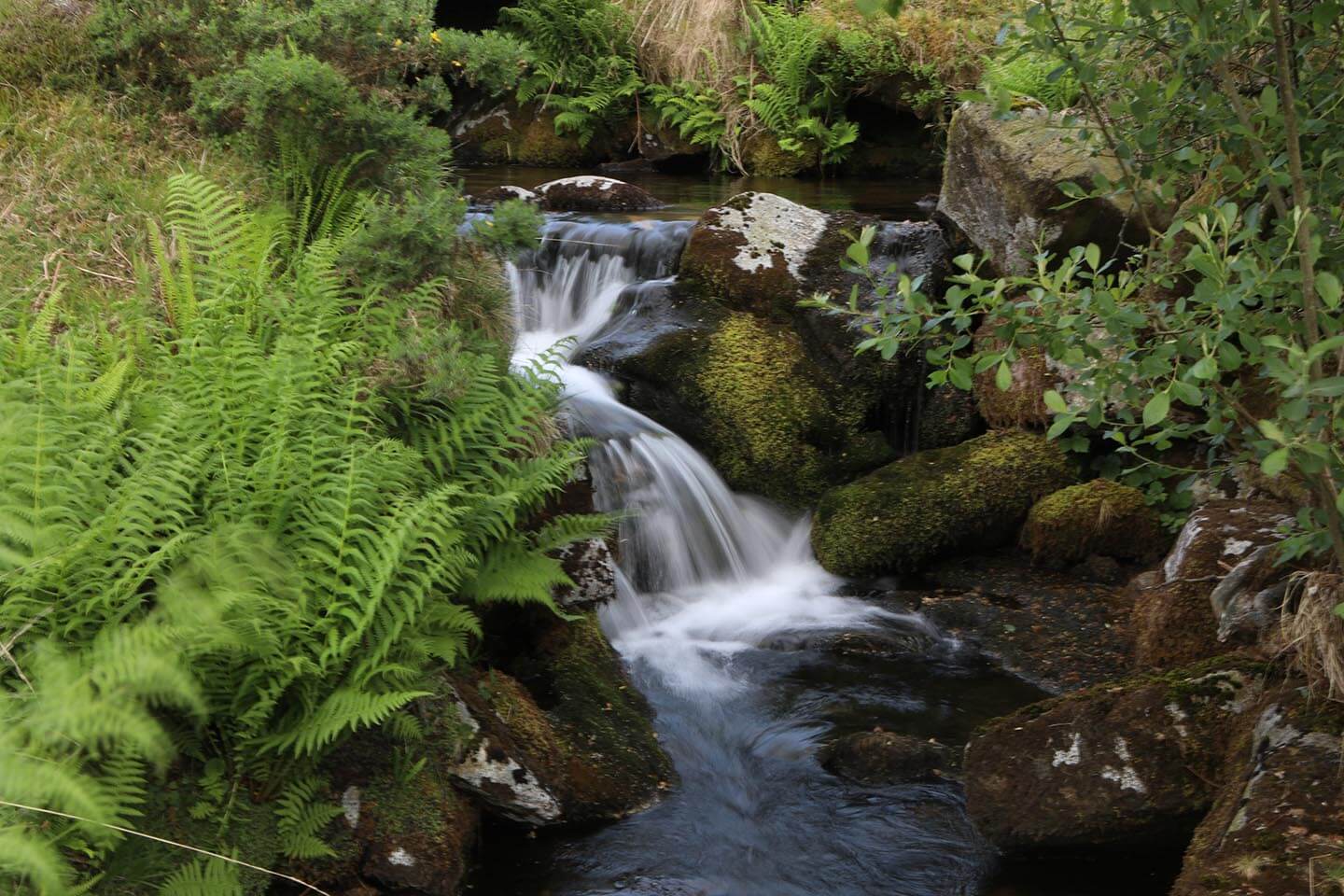 Journey to the Sea - North Devon Biosphere