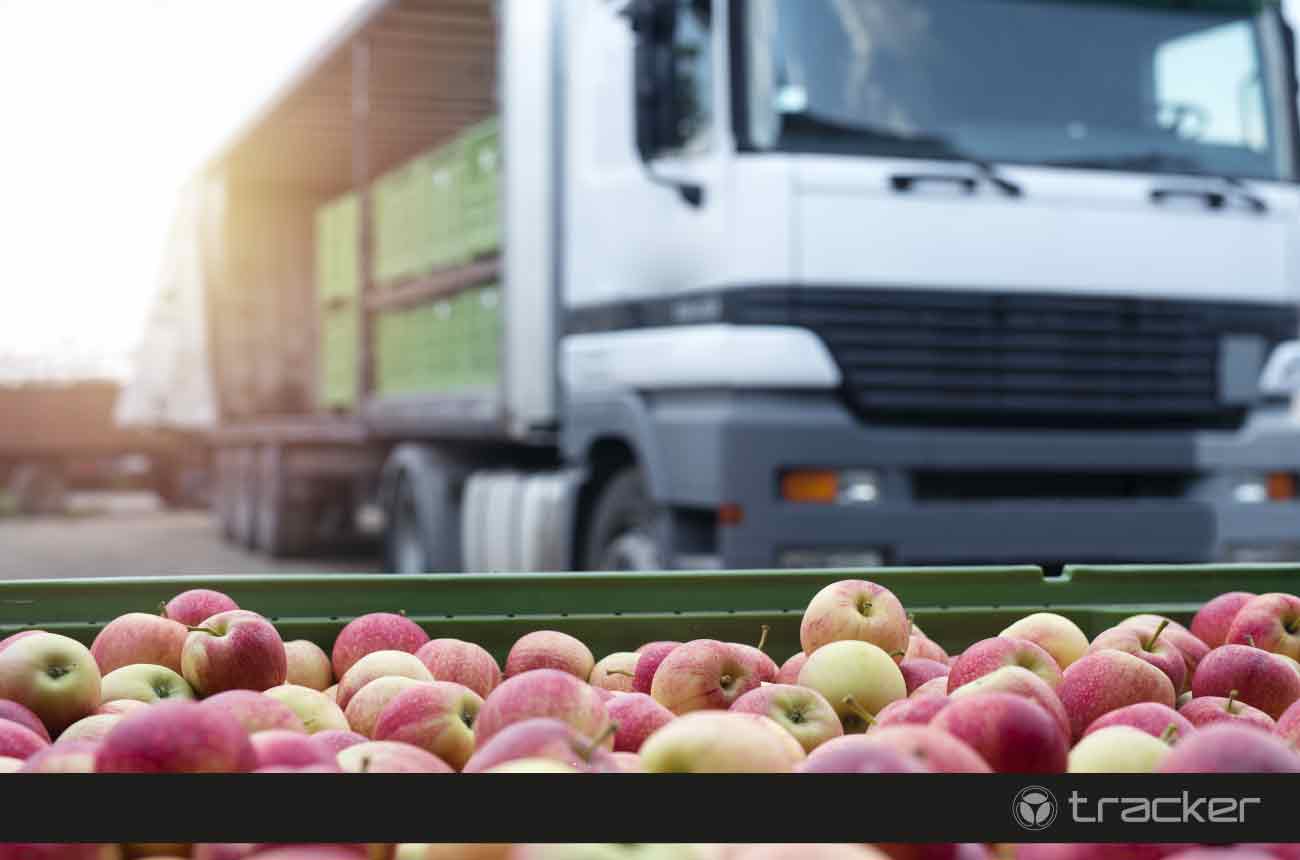 transporte-de-alimentos
