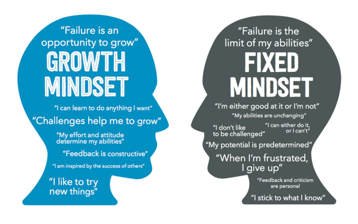 Growth or Fixed Mindset: https://www.screwtheninetofive.com/differences-between-growth-and-fixed-mindset/