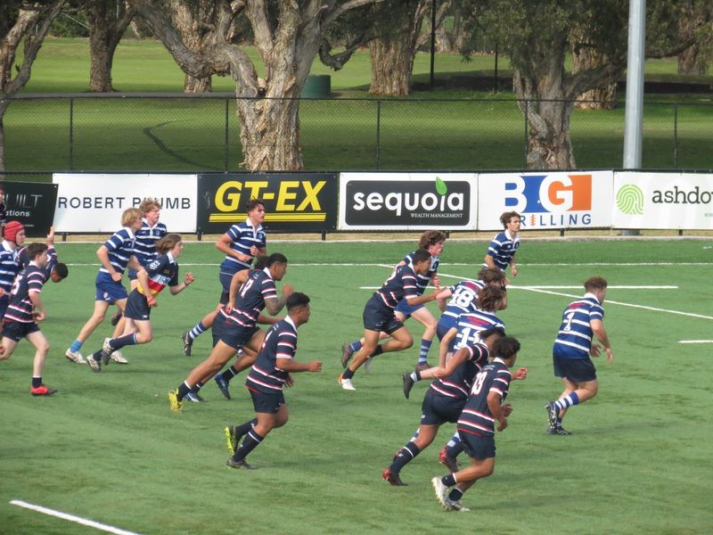 Easts Junior Beasties RUFC Junior Rugby in Sydney's Eastern Suburbs