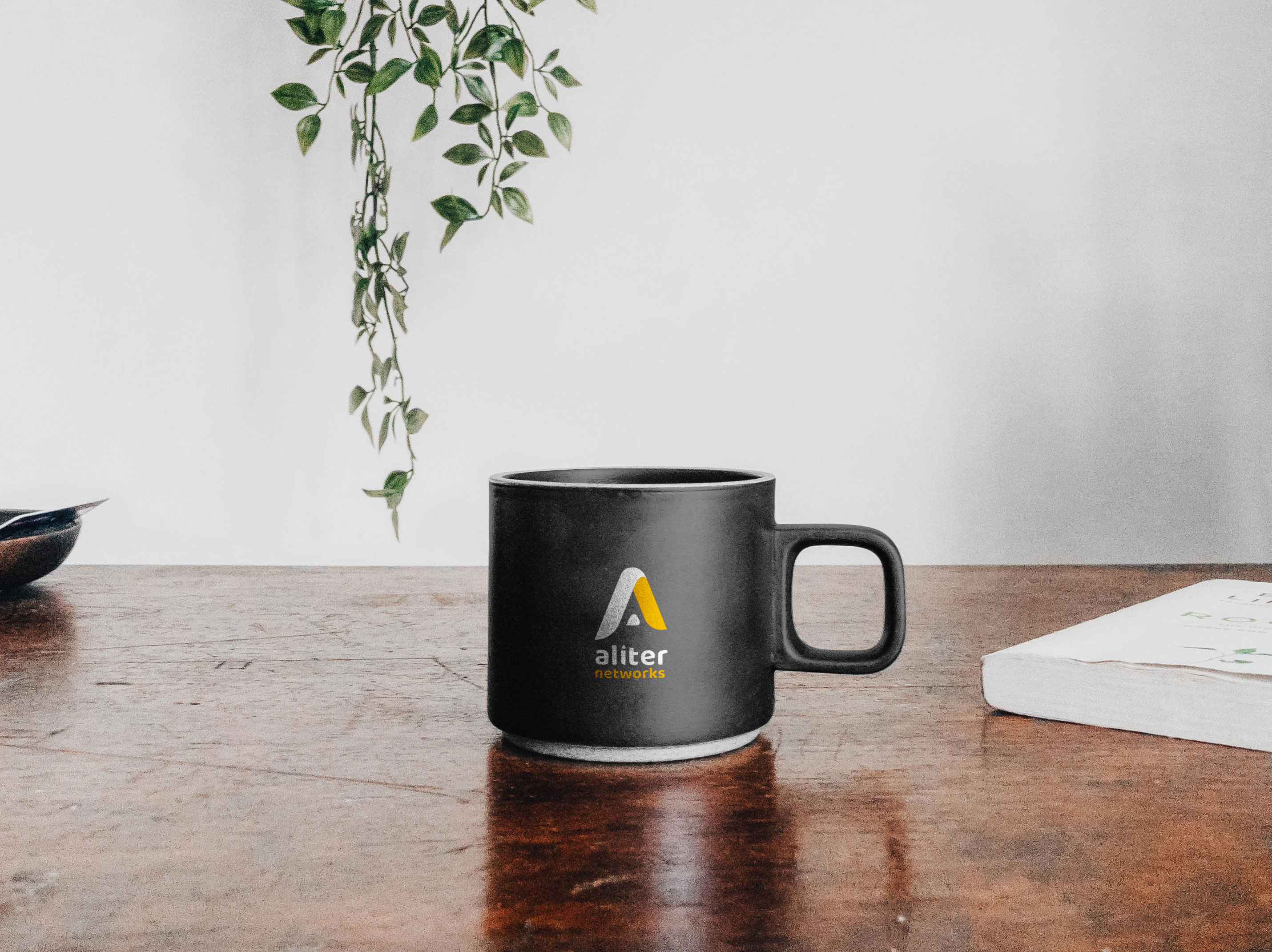 V2 - Branding Aliter networks