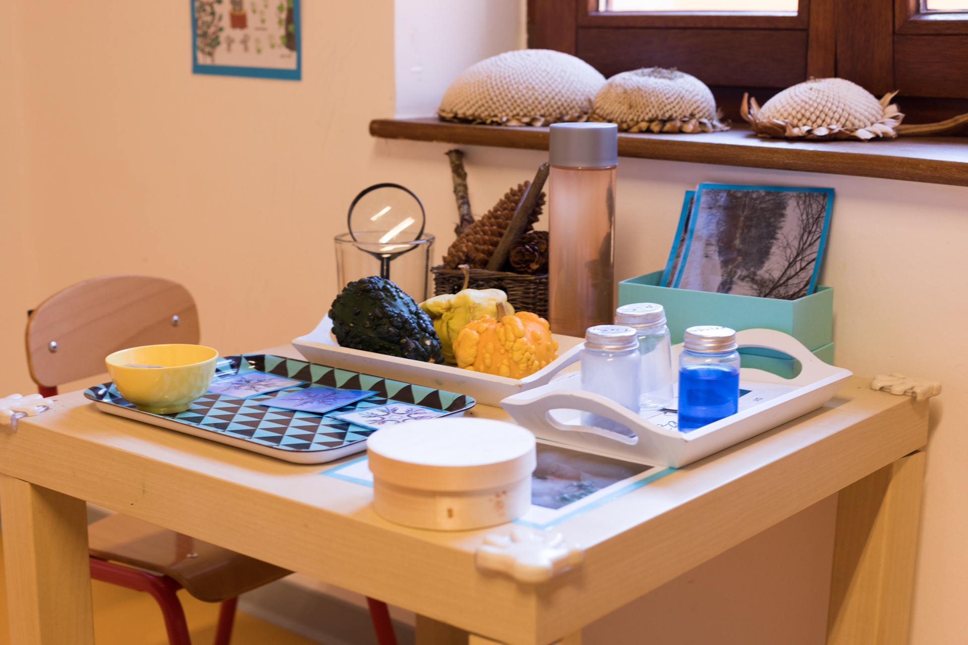 sunflower montessori crèche Luxembourg nature table