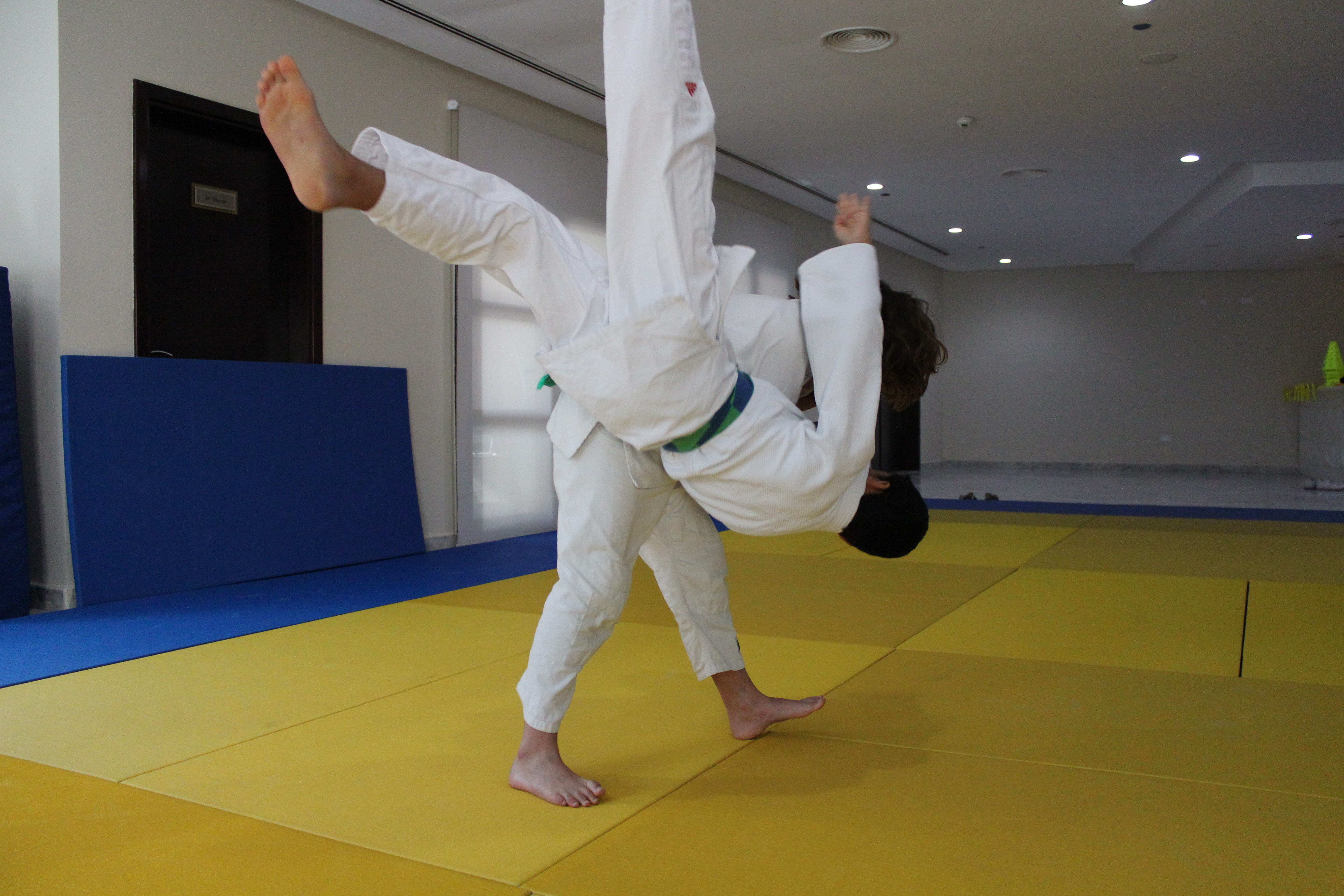 What is judo?