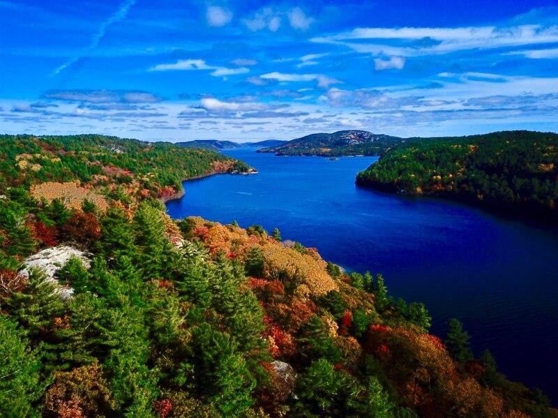 Gorgeous fall colours being enjoyed as part of our Baie Fine Fall Colours tour.