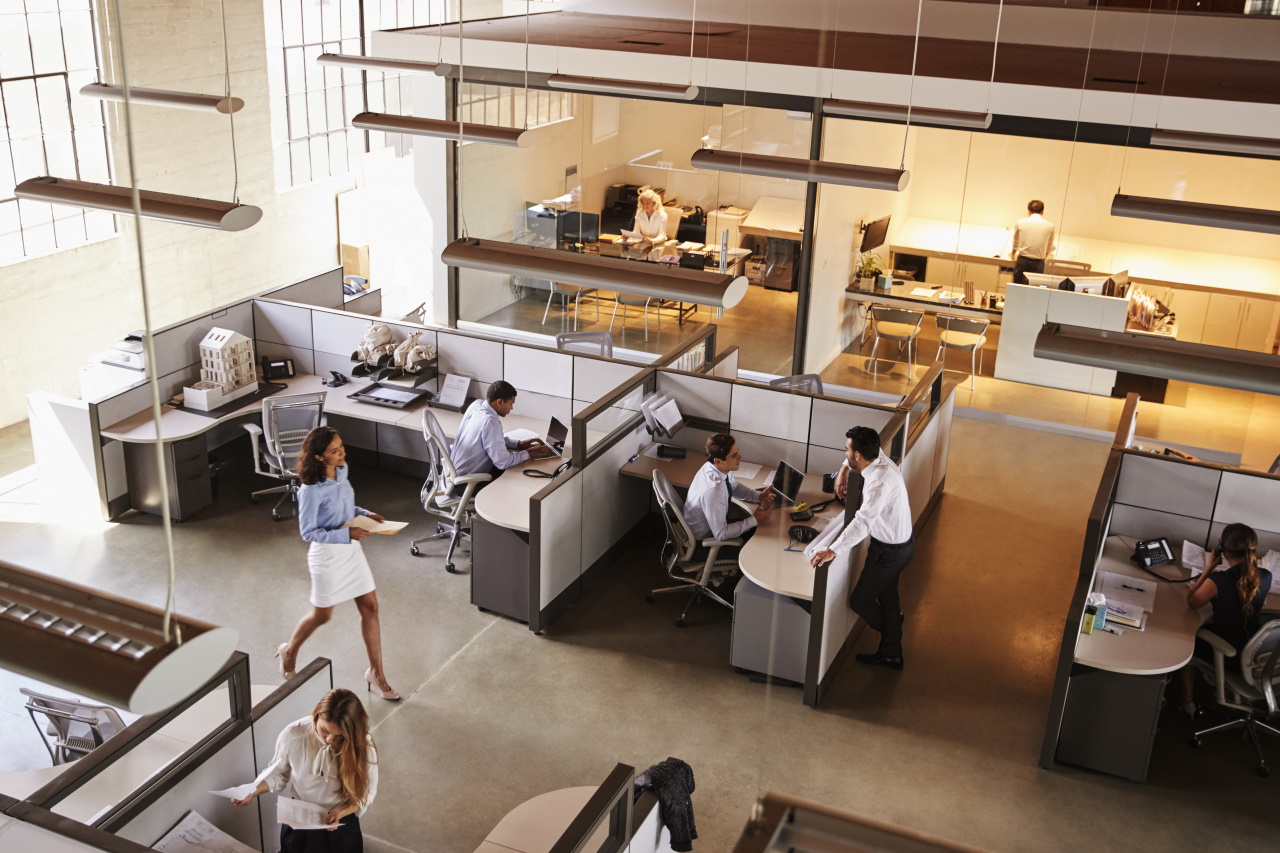 2 productive workers in open-plan office