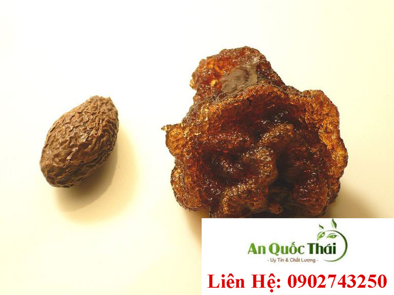 hat uoi bay