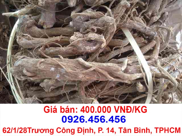 sam bo chinh