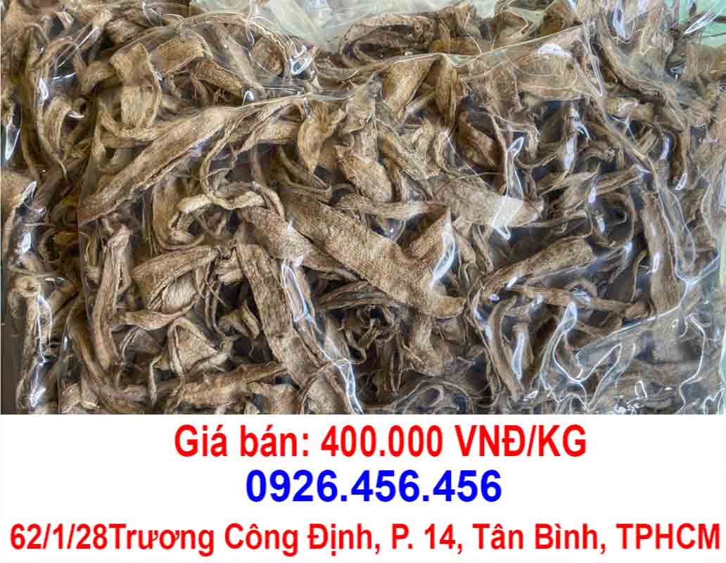 hinh anh cay sam bo chinh