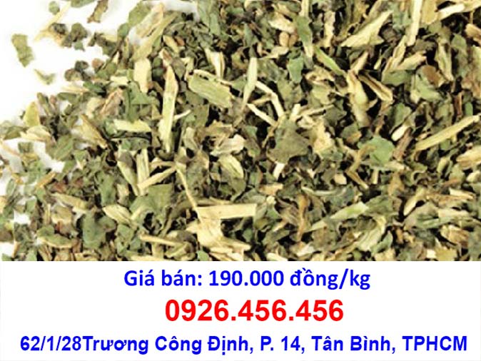 hinh anh cay cai troi