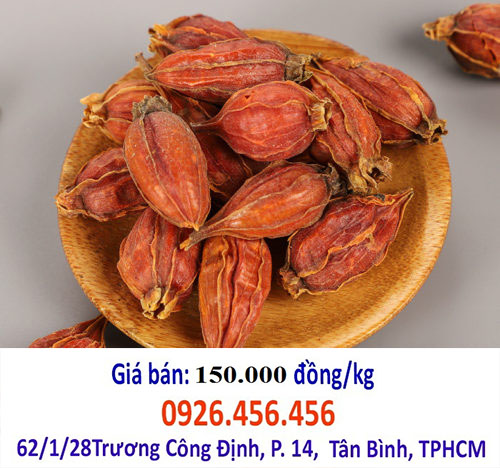 cong dung cua chi tu
