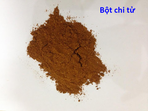 bot chi tu