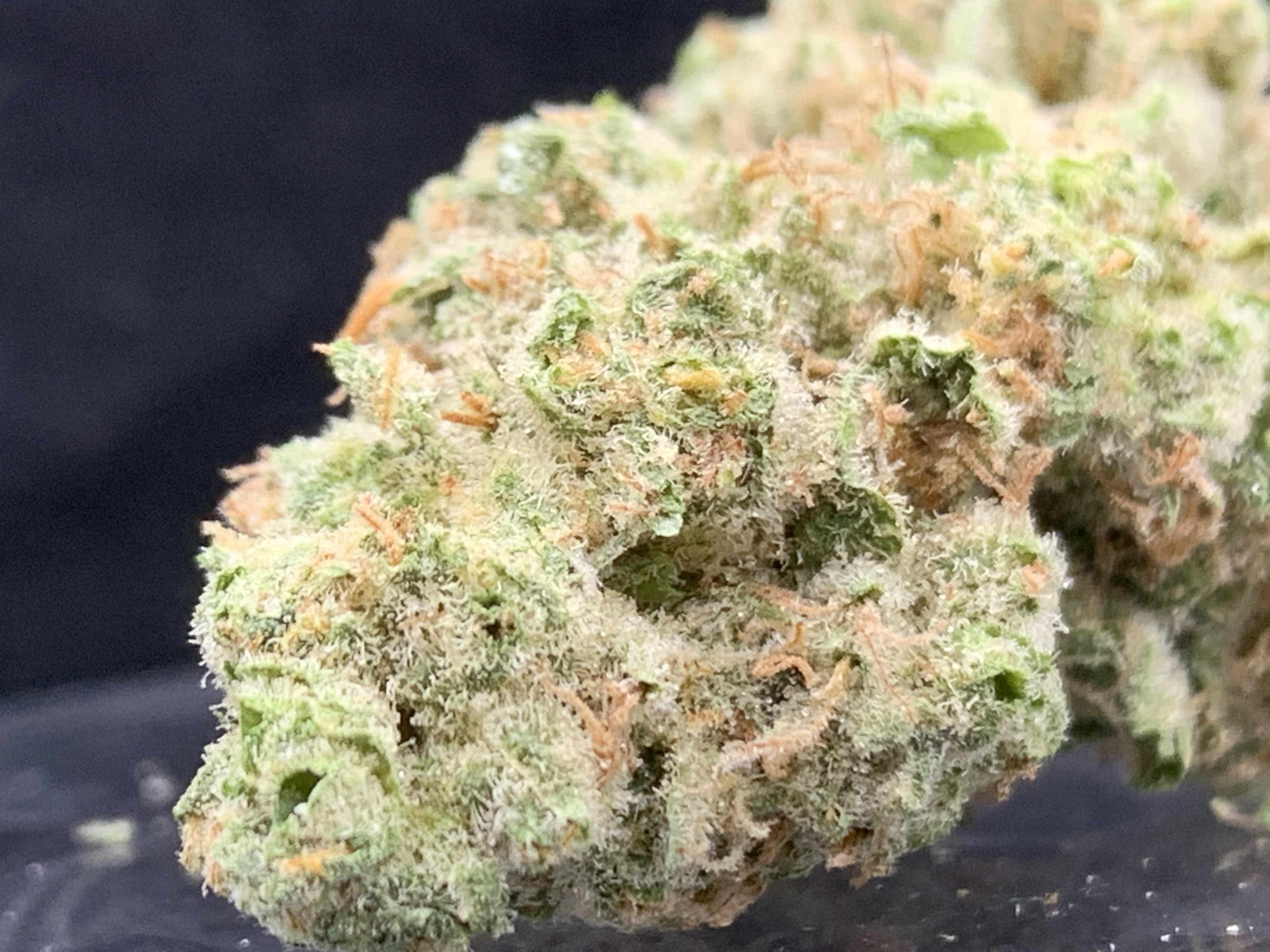 Strawberry Fritters Strain - k7uqlsg