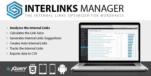 Interlinks Manager Wordpress Plugin Interlinks Manager Wordpress Plugin