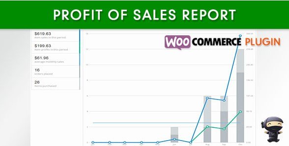 WooCommerce Profit of Sales Report WooCommerce Profit of Sales Report