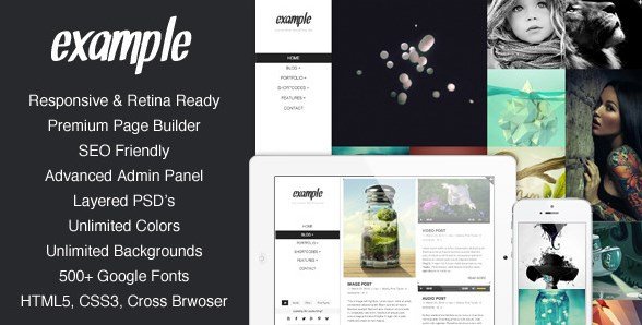 Example – Responsive & Retina Portfolio WP Theme Example – Responsive & Retina Portfolio WP Theme