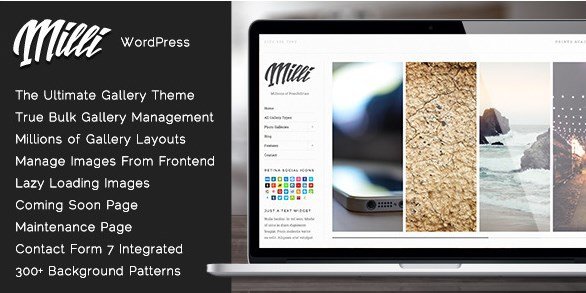 Milli – The Ultimate Photo Gallery WordPress Theme