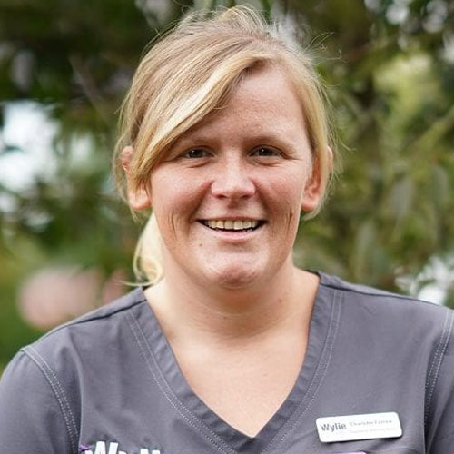 Meet the team - Vets in Upminster & Brentwood, Essex.