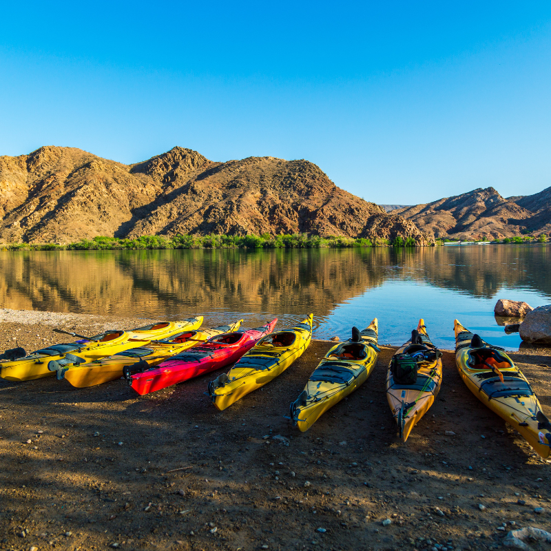 Evolution Expeditions Top 5 Things to Do at Willow Beach