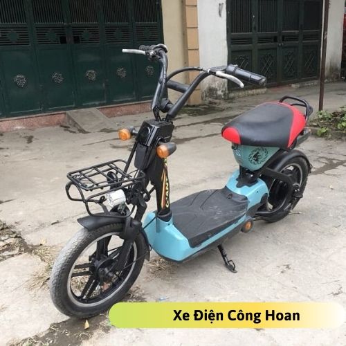 Xe đạp điện bò điên cũ 